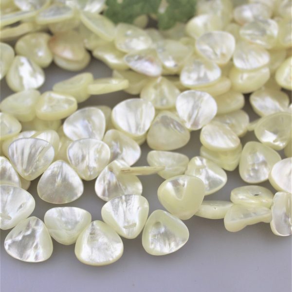 perleť korálky lístky image